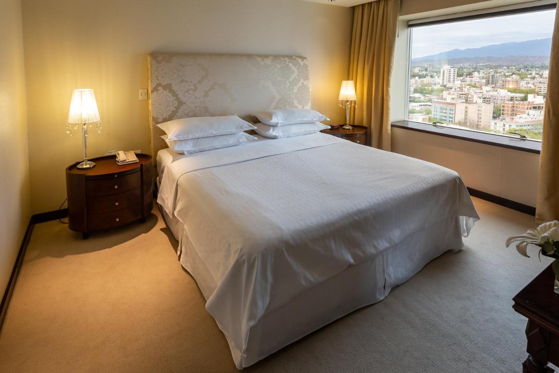 Presidential Suite 1 King